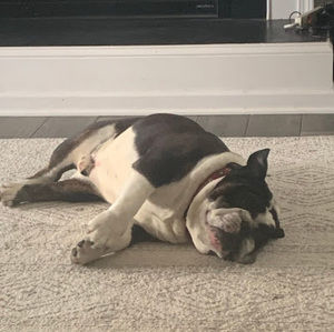 Meet your Posher, Tara